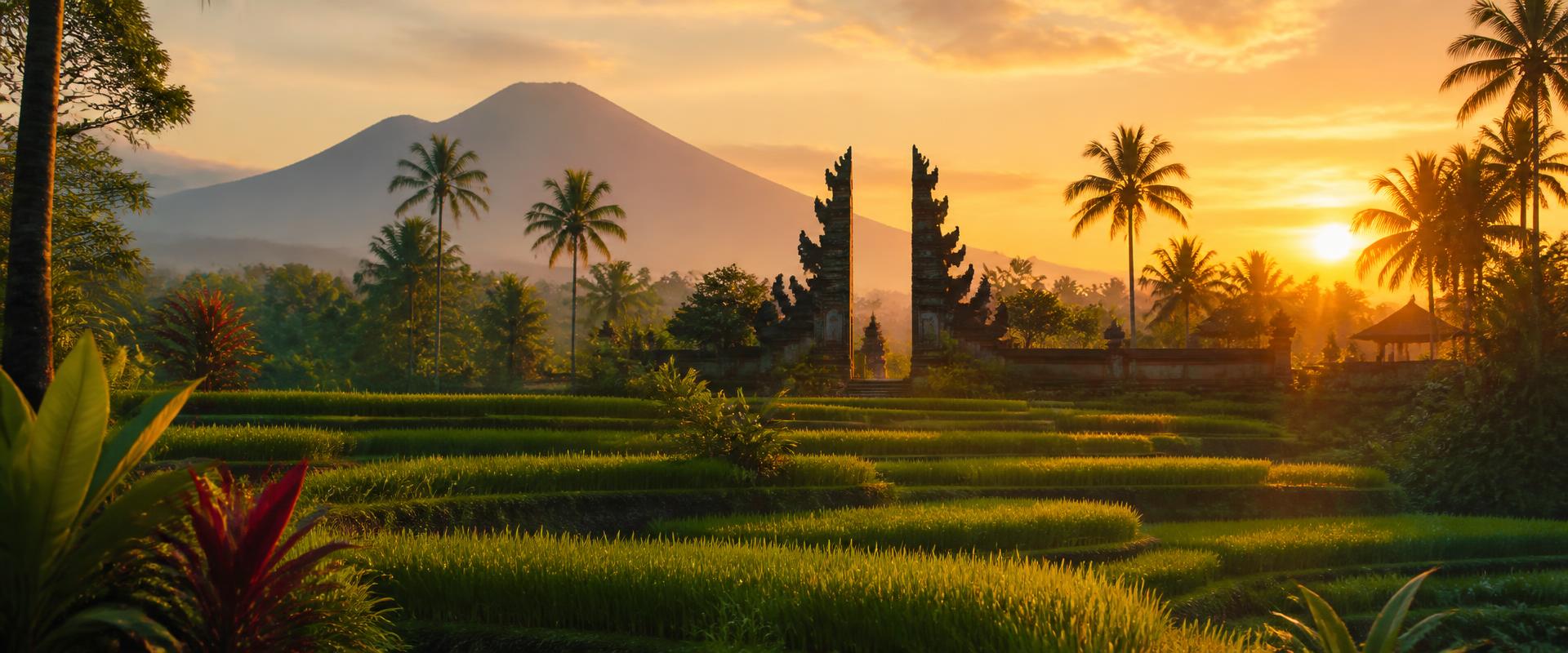 Bali rice terraces at sunrise with a traditional temple gate